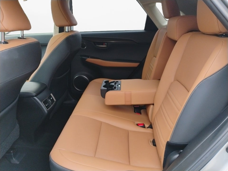 2020 Lexus NX 300h NX 300h