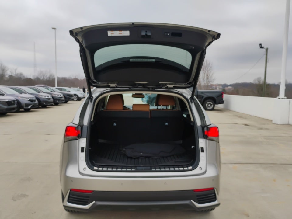 2020 Lexus NX 300h NX 300h