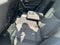 2022 Toyota RAV4 Hybrid Hybrid XLE